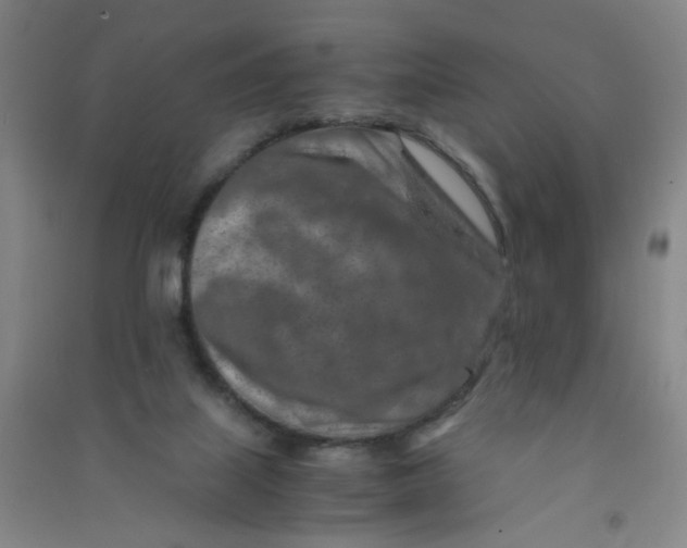 X0000090900067200708201727