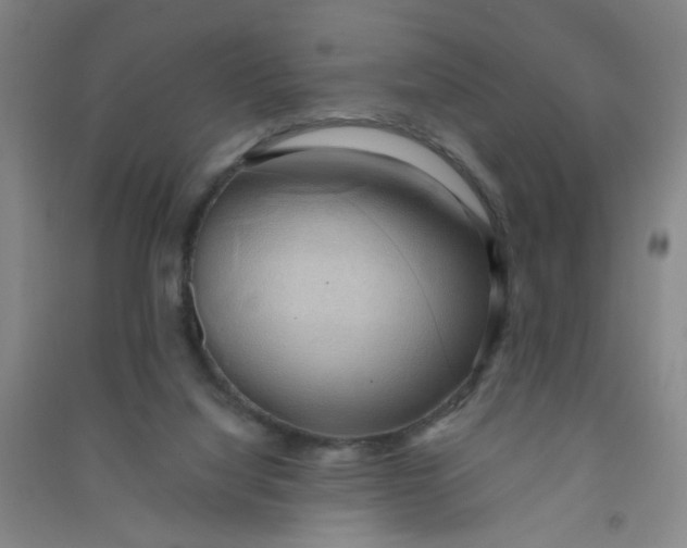 X0000090900068200708201727