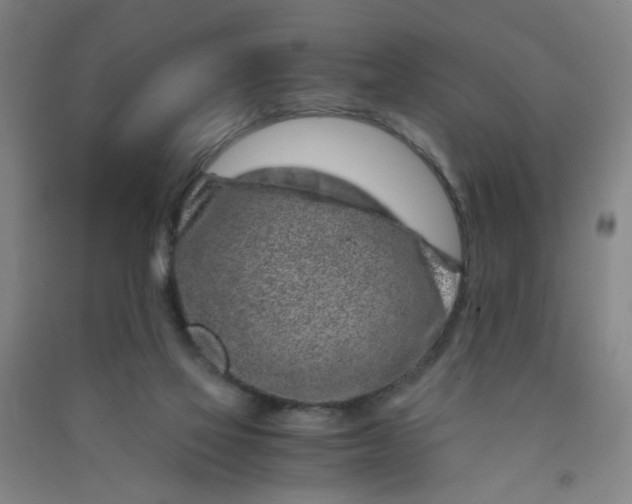 X0000090900069200708201727