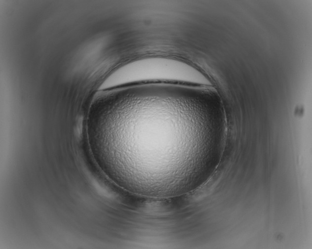 X0000090900070200708201727