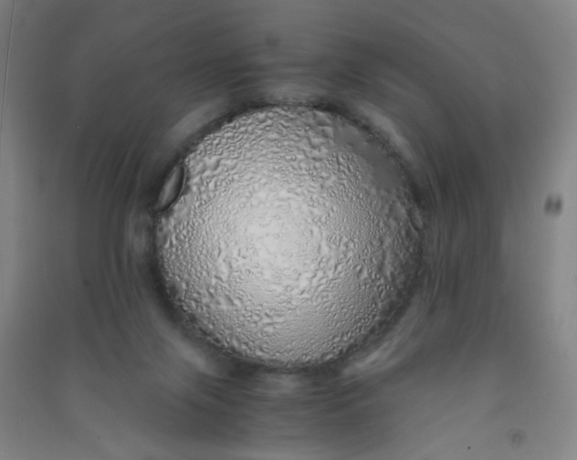 X0000090900071200708201727