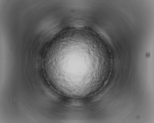 X0000090900073200708201727