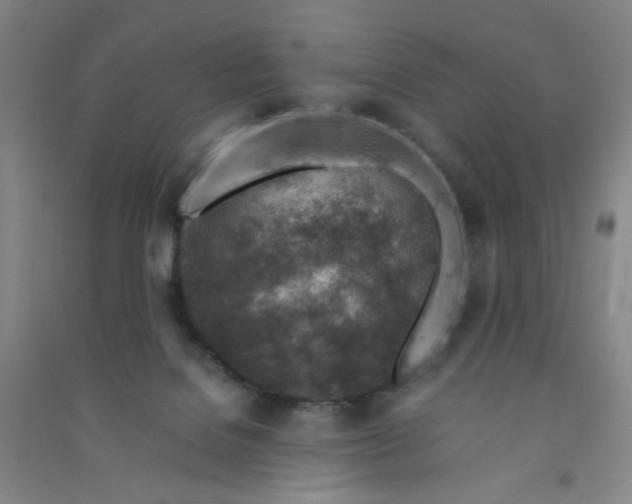 X0000090900076200708201727