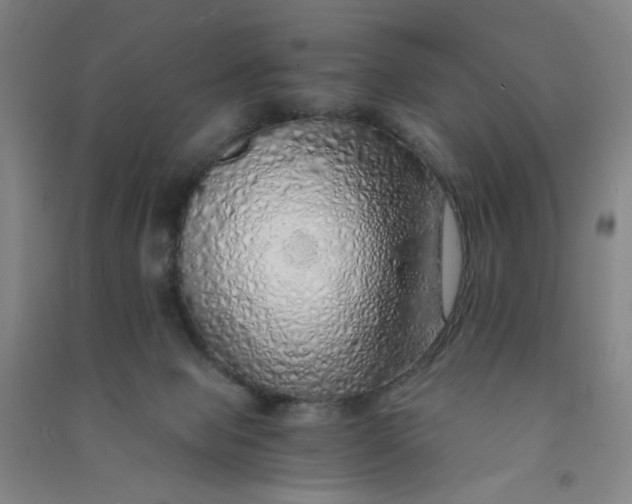 X0000090900077200708201727