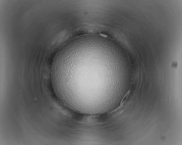 X0000090900078200708201727