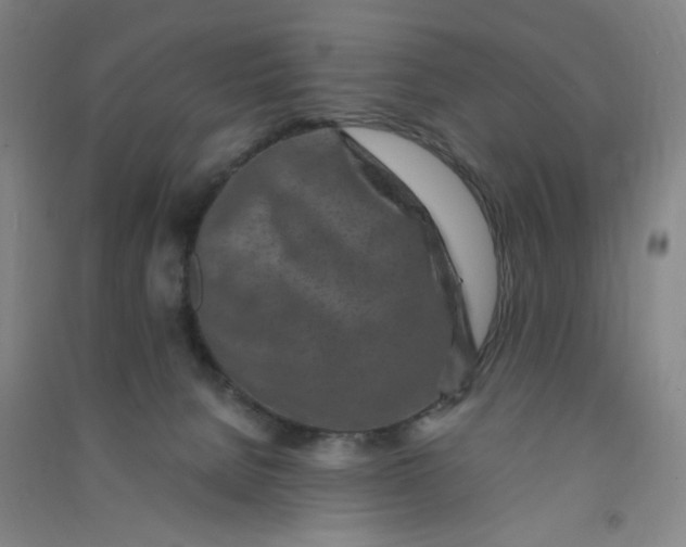 X0000090900080200708201728