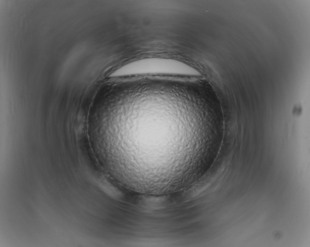 X0000090900081200708201728