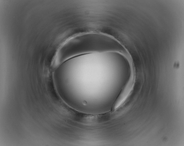 X0000090900084200708201728