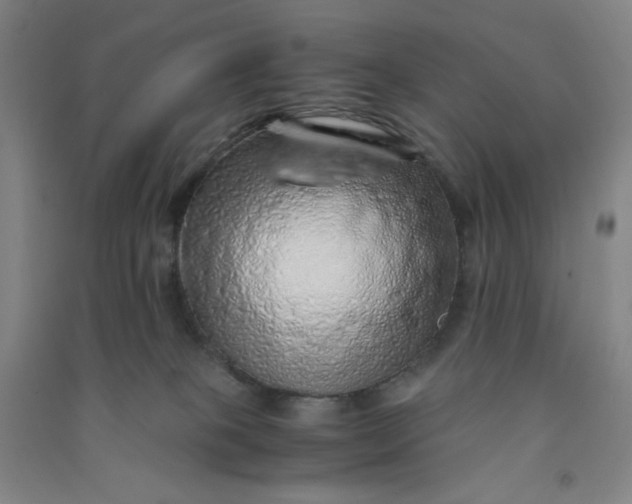 X0000090900085200708201728