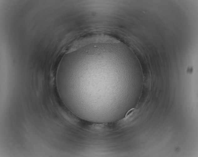 X0000090900086200708201728