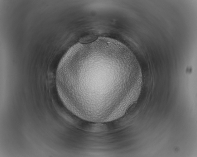 X0000090900087200708201728