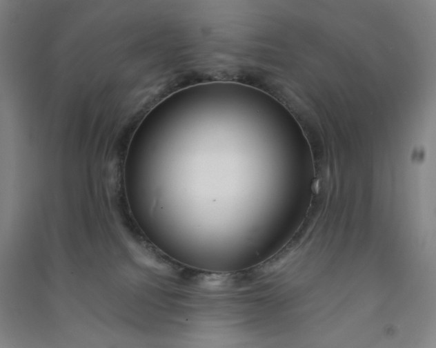 X0000090900088200708201728