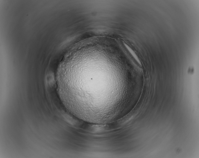 X0000090900089200708201728