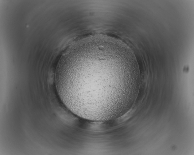 X0000090900090200708201728