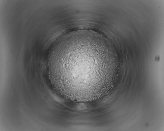 X0000090900091200708201728