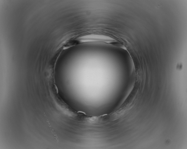 X0000090900092200708201728