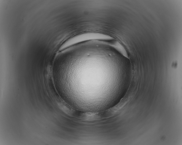 X0000090900093200708201728