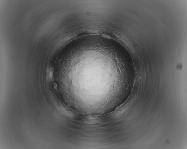 X0000090900095200708201728