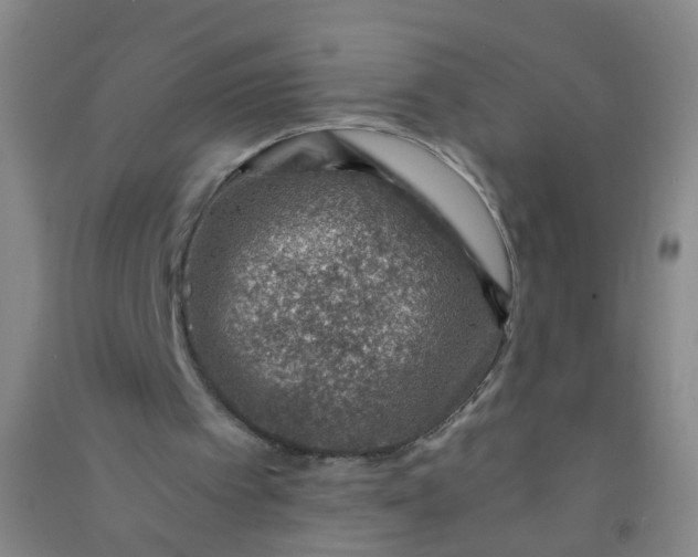 X0000090900097200708201727