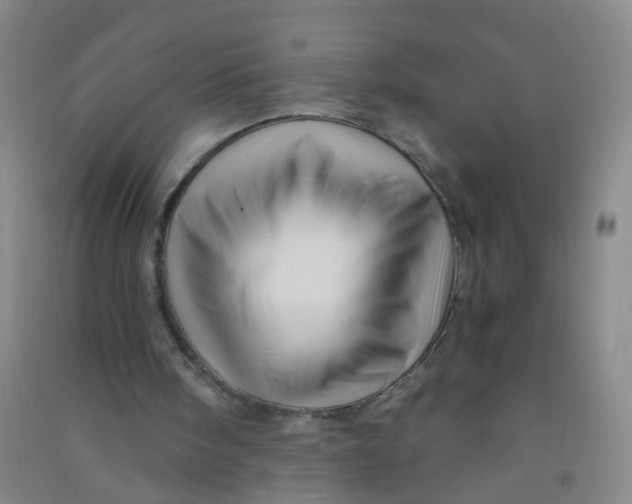 X0000090900098200708201727