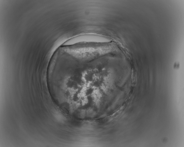 X0000090900099200708201727