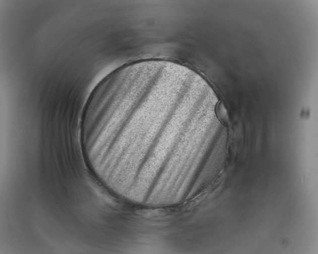 X0000090900100200708201727