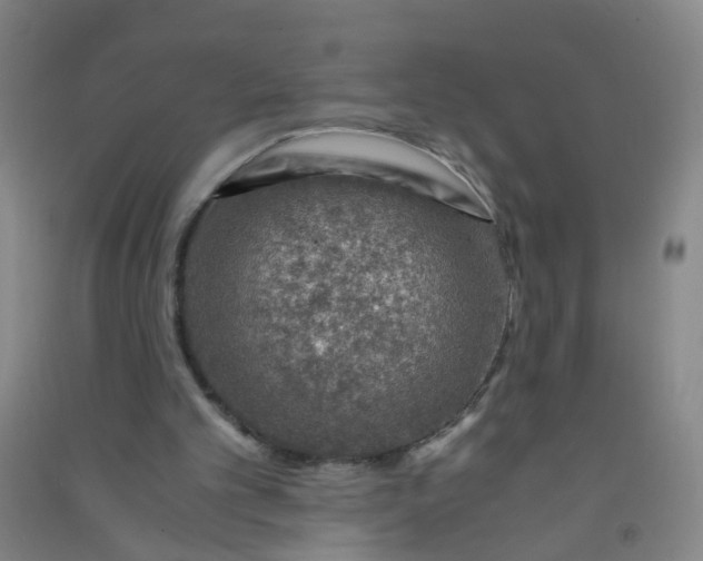 X0000090900101200708201727