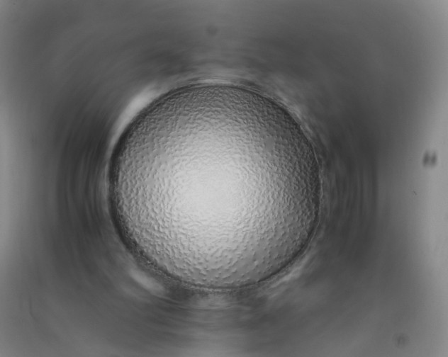 X0000090900102200708201727