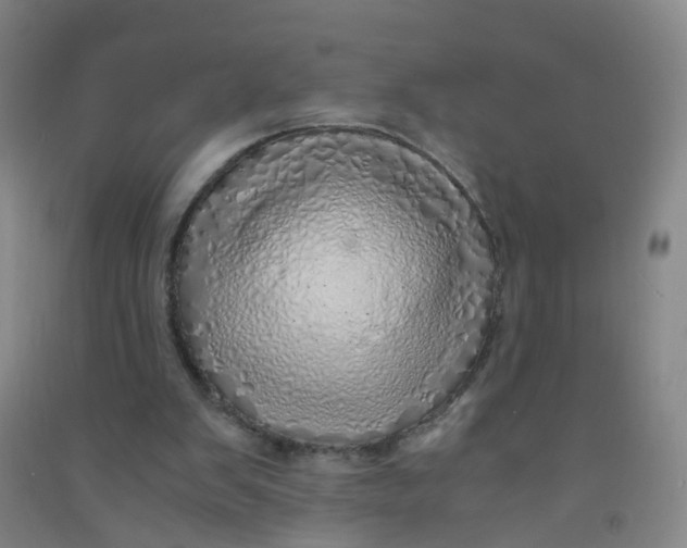 X0000090900103200708201727