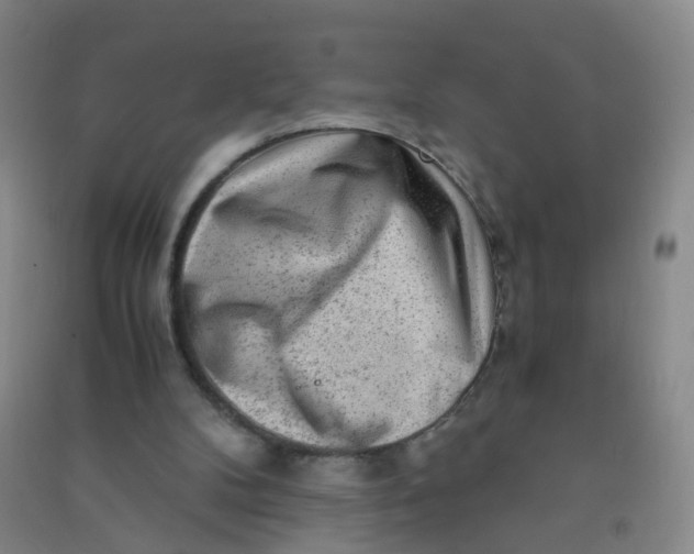 X0000090900104200708201727