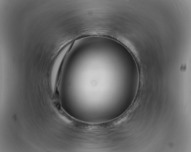 X0000090900105200708201727