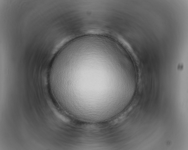 X0000090900106200708201727