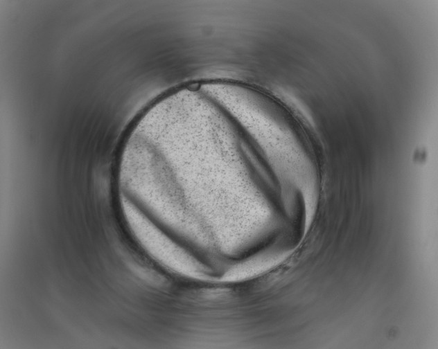 X0000090900108200708201727