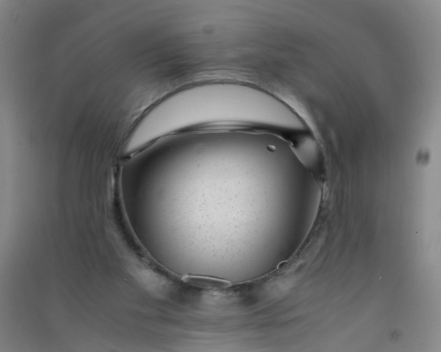 X0000090900109200708201727