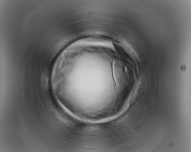 X0000090900110200708201727