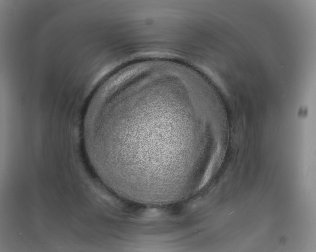 X0000090900111200708201727