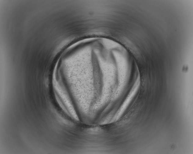 X0000090900112200708201727