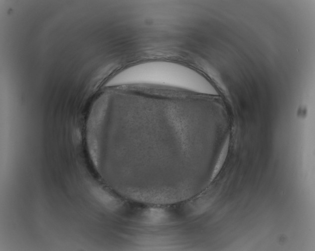 X0000090900114200708201727