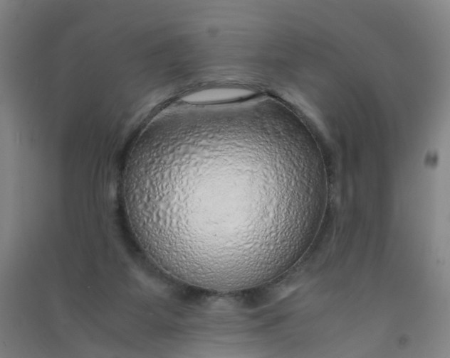 X0000090900115200708201727