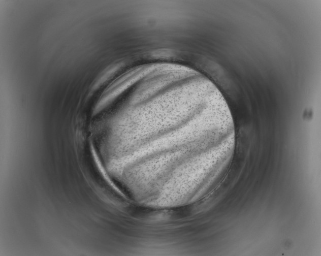 X0000090900116200708201727