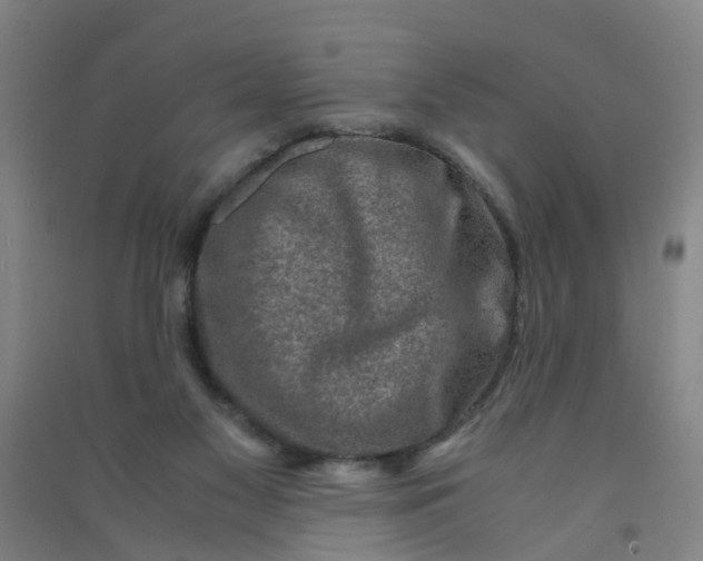 X0000090900117200708201727