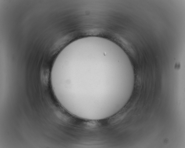 X0000090900118200708201727