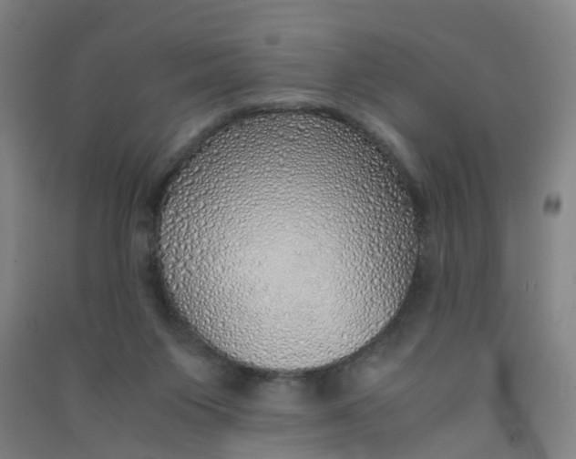 X0000090900119200708201727