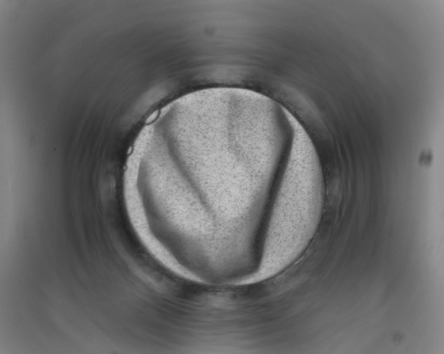 X0000090900120200708201727