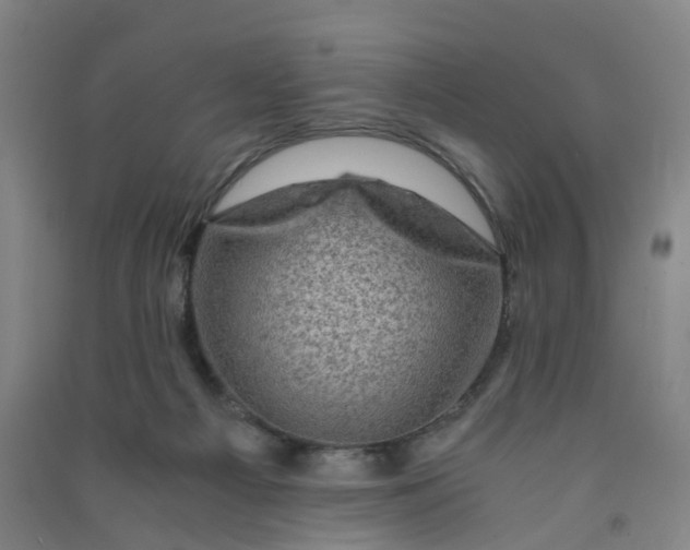 X0000090900121200708201727