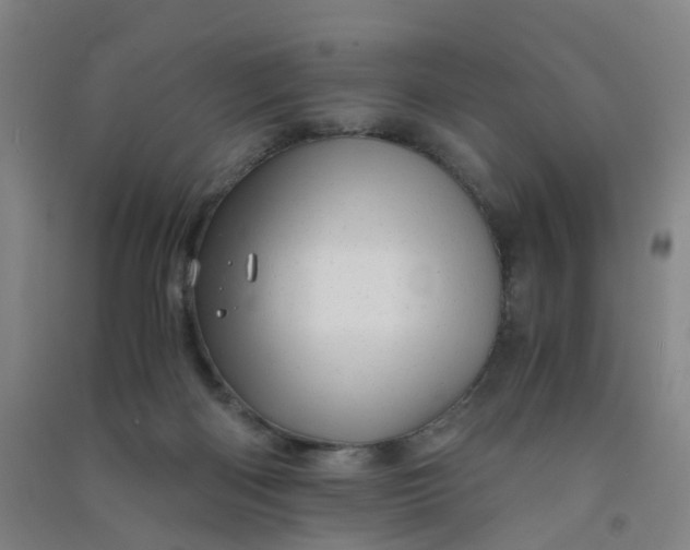 X0000090900122200708201727