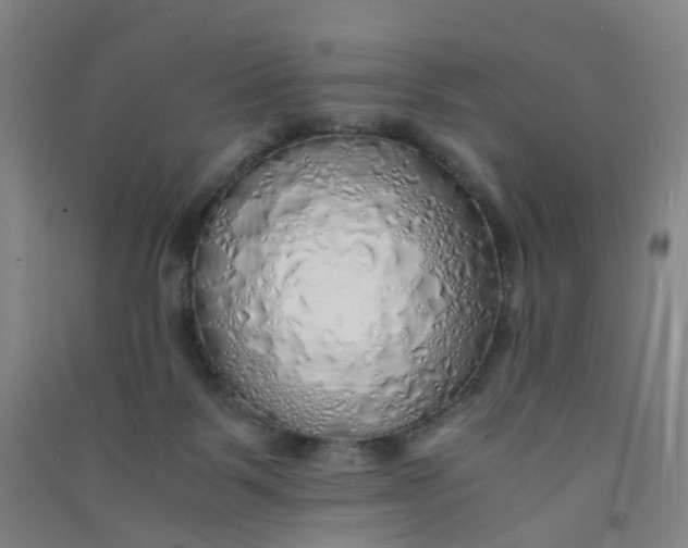 X0000090900123200708201727