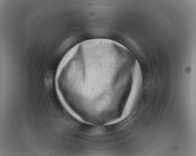 X0000090900124200708201727