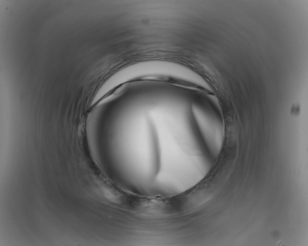 X0000090900125200708201727