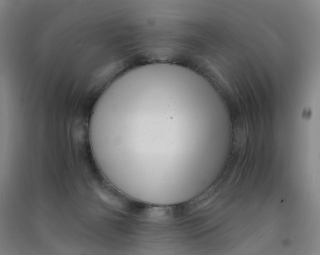 X0000090900126200708201727